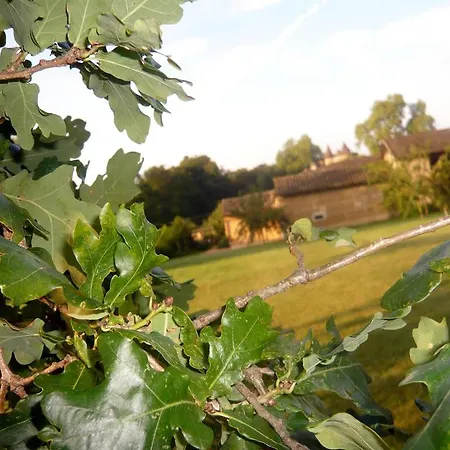 - Maison De Marie