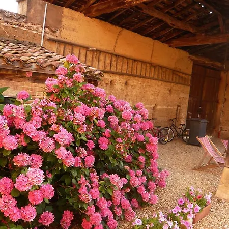 - Maison De Marie Gasthuis Messimy-sur-Saone